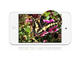 Таблети Apple iPod Touch 16GB, черен цвят
