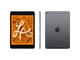 Таблети Apple iPad mini 5 Cellular 256GB - Space Grey