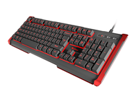 Клавиатури Genesis Rhod 410 Us Layout