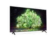 Телевизори LG OLED55A13LA
