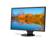 Монитори NEC EA243WM