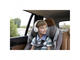 Слушалки Belkin SOUNDFORM™ Mini, бели