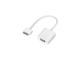 Аксесоари за таблети Apple VGA адаптер