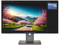 Монитори Lenovo ThinkVision P32UD-40
