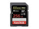 256GB